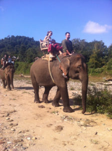 Bert got to be a "mahout" for a minute